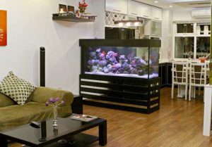 Chuyển bể cá cảnh khi chuyển nhà đơn giản với 4 bước - Sài gòn moving 3 be ca phong thuy