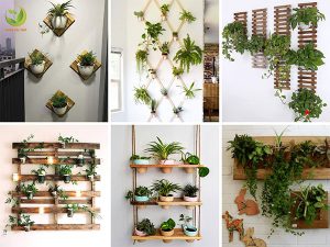 Ý tưởng làm vườn cây xanh từ chậu cây treo tường 9 chau cay treo tuong