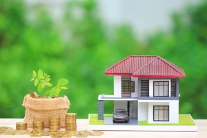 3 Cách vận chuyển cây cảnh khi chuyển nhà bảo đảm và đúng cách nhất 1 DI DOI CAY CANH