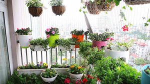 Cách trang trí sân vườn đơn giản cực kì độc đáo 7 treo chau hoa