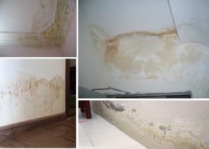 Hướng dẫn cách tẩy vết ố vàng trên tường - Sài gòn moving 10 tuong bi o vang
